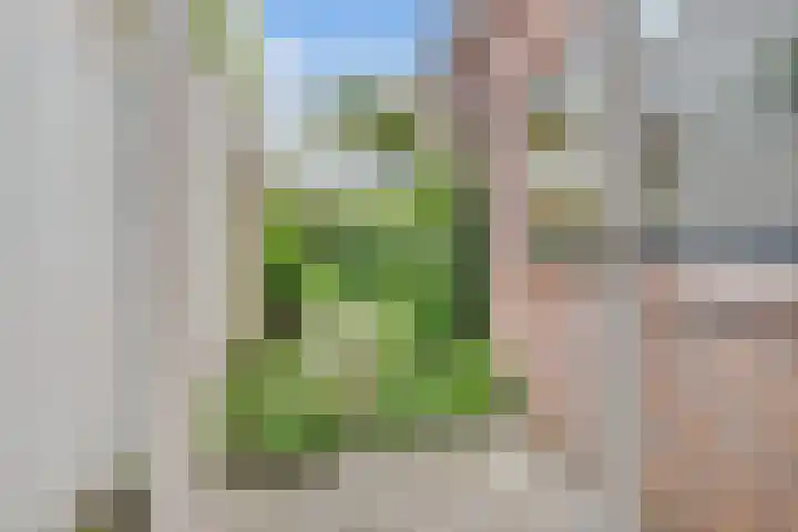 Looydijk 93 De Bilt thumbnail 36