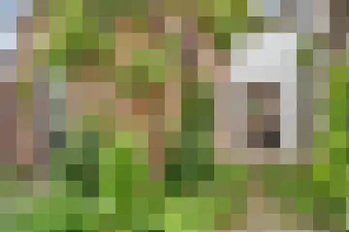 Looydijk 93 De Bilt thumbnail 37