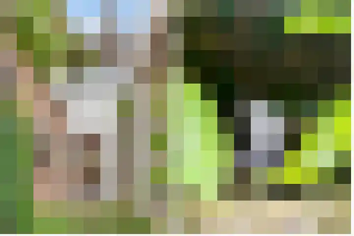 Looydijk 93 De Bilt thumbnail 38