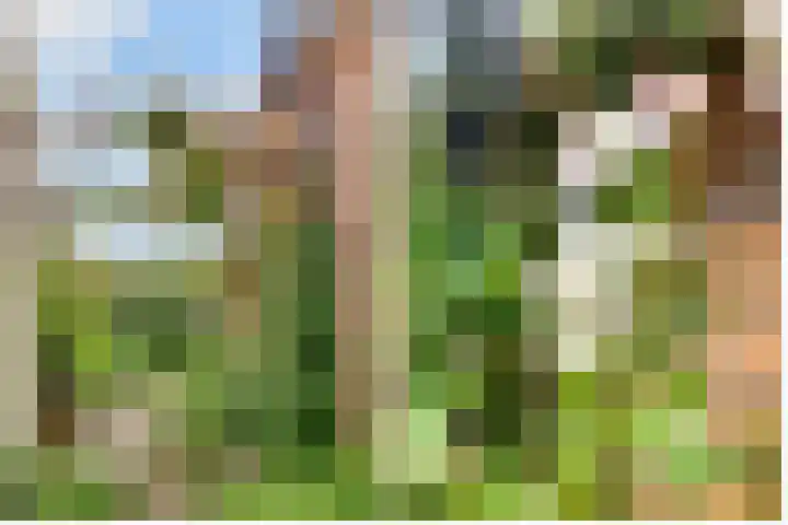 Looydijk 93 De Bilt thumbnail 39