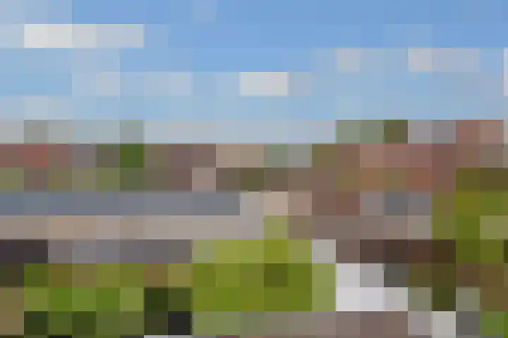 Looydijk 93 De Bilt thumbnail 43