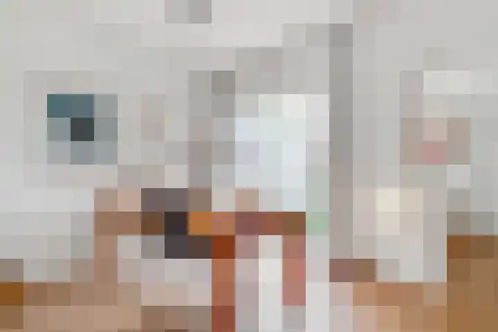 Looydijk 93 De Bilt thumbnail 8