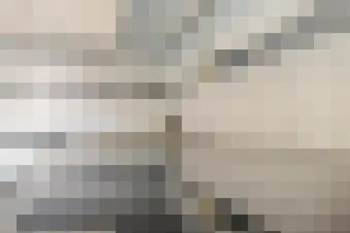 Loper 13 Epe thumbnail 16