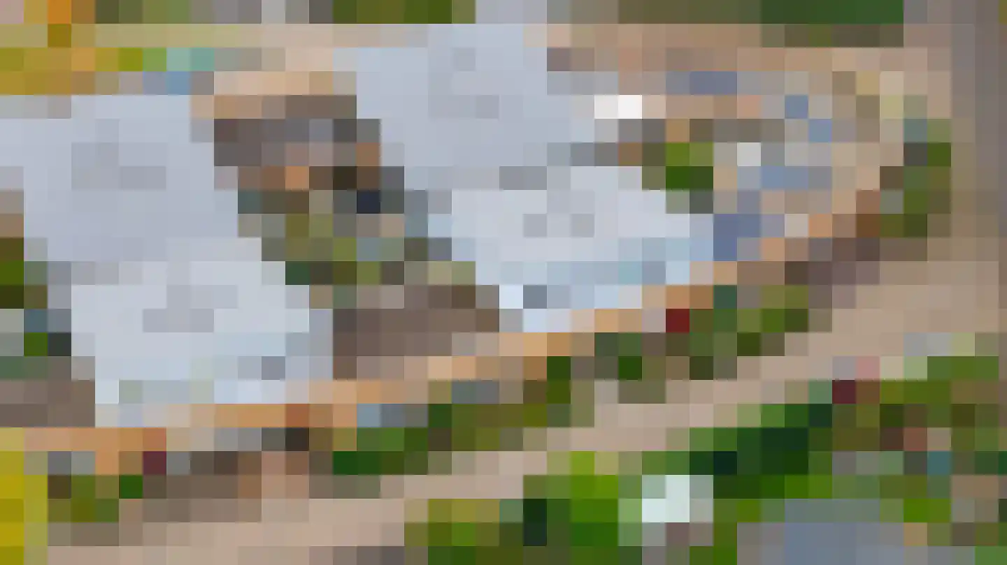 Loper 17 Epe thumbnail 43