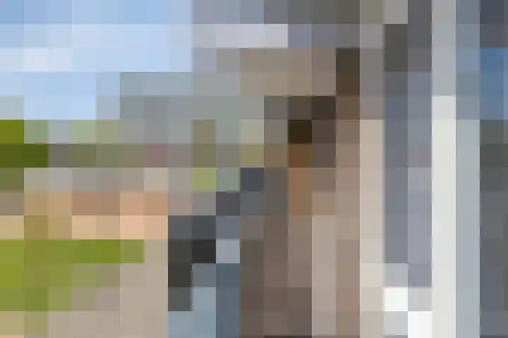 Loplein 24 Arnhem thumbnail 25