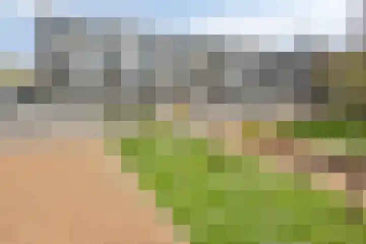 Loplein 24 Arnhem thumbnail 34