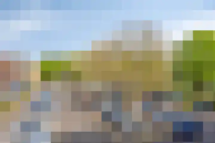 Loplein 24 Arnhem thumbnail 36