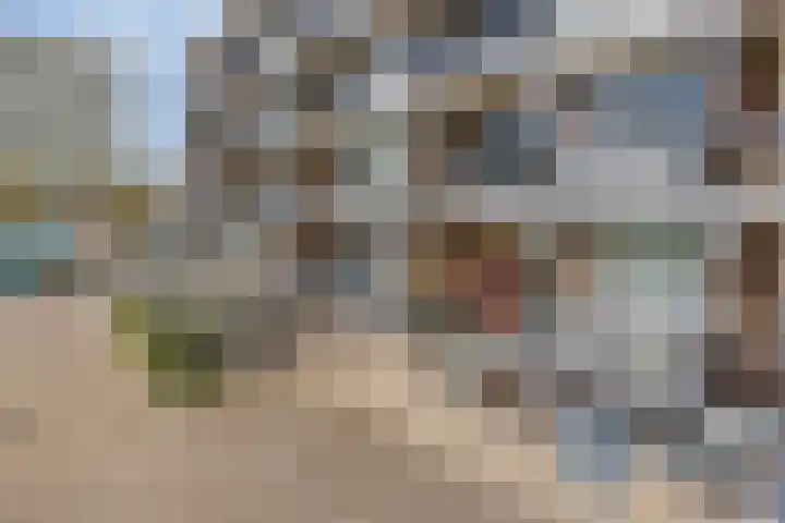 Loplein 24 Arnhem thumbnail 39