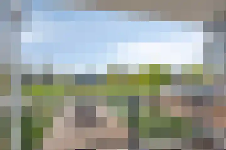 Loplein 24 Arnhem thumbnail 4