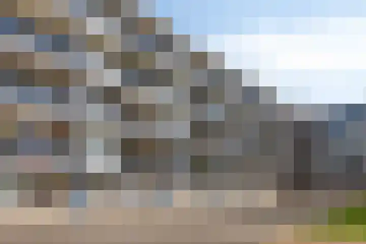 Loplein 24 Arnhem thumbnail 40