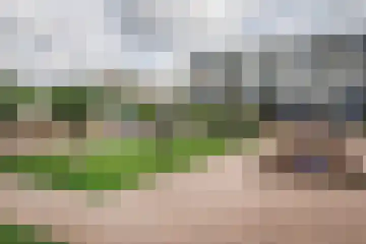 Loplein 30 Arnhem thumbnail 30