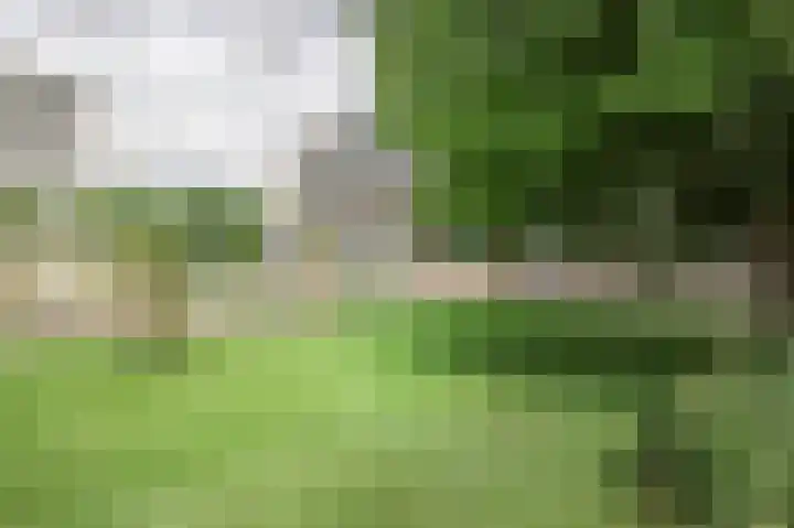Loplein 30 Arnhem thumbnail 37
