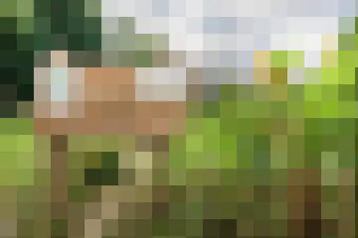 Loplein 30 Arnhem thumbnail 38