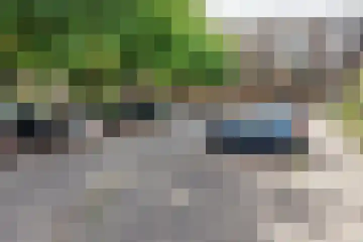 Loplein 30 Arnhem thumbnail 39