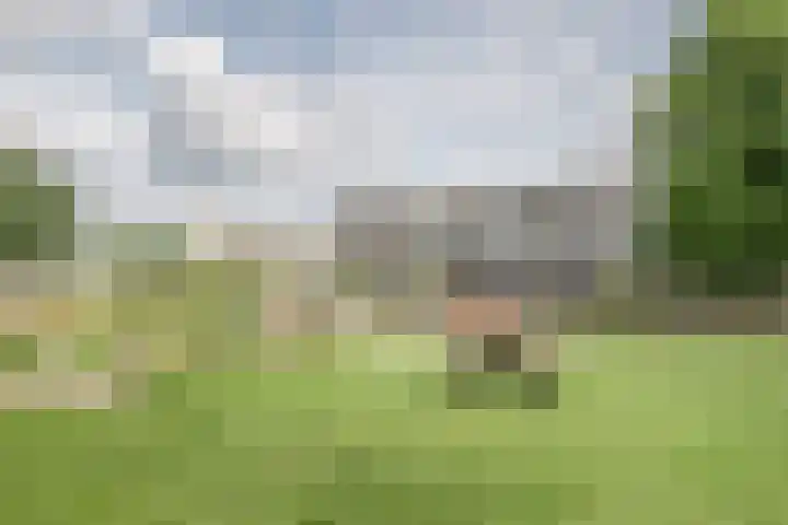 Loplein 30 Arnhem thumbnail 6