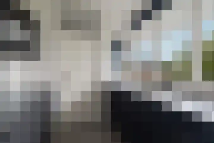 Loplein 36 Arnhem thumbnail 10