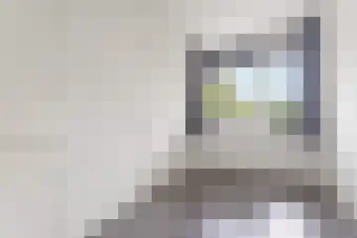 Loplein 36 Arnhem thumbnail 15