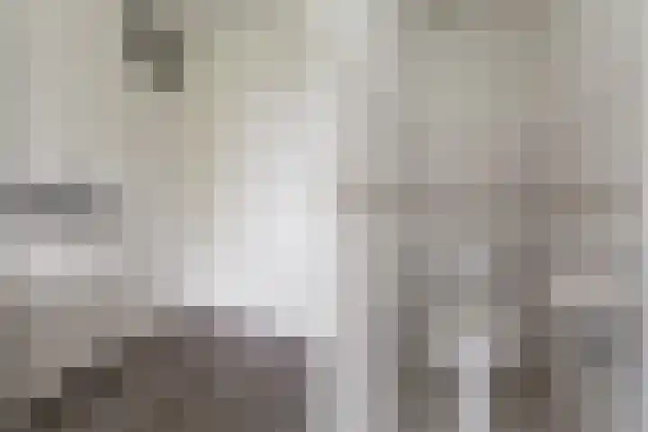 Loplein 36 Arnhem thumbnail 17