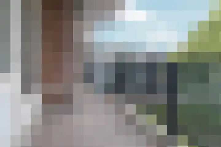 Loplein 36 Arnhem thumbnail 18