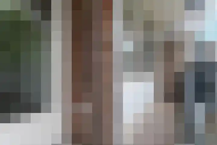 Loplein 36 Arnhem thumbnail 19