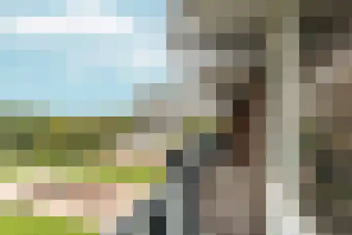 Loplein 36 Arnhem thumbnail 20
