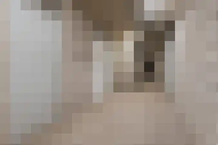 Loplein 36 Arnhem thumbnail 21
