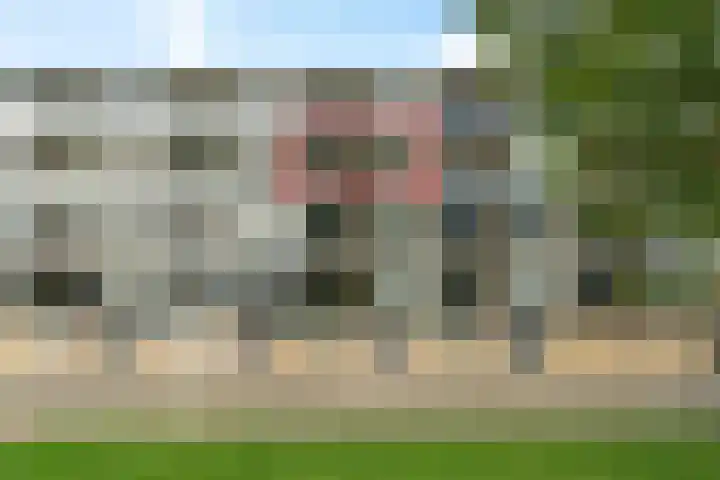 Loplein 36 Arnhem thumbnail 27