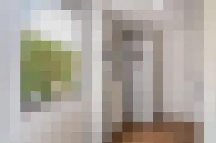 Loplein 62 Arnhem thumbnail 19