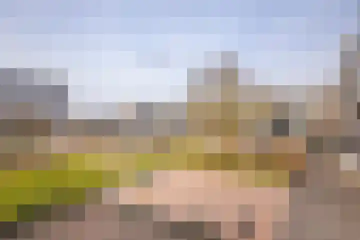 Loplein 62 Arnhem thumbnail 31