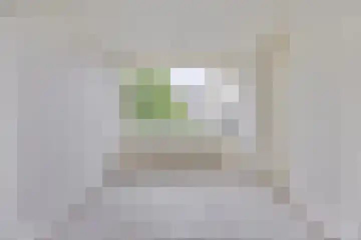 Loplein 65 Arnhem thumbnail 17