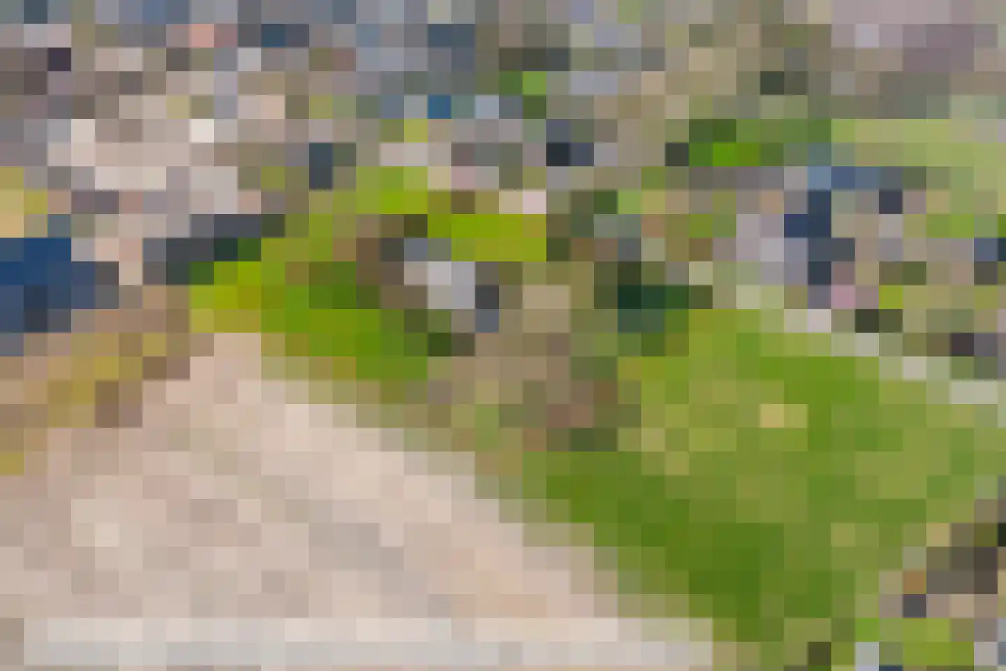Loplein 65 Arnhem thumbnail 20