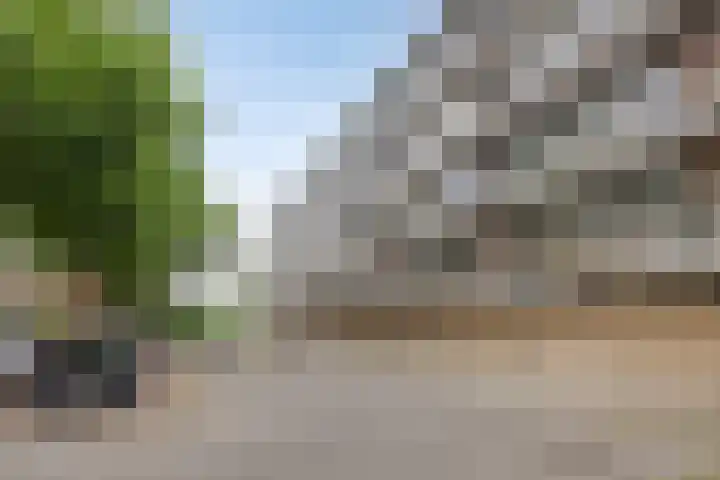Loplein 65 Arnhem thumbnail 23