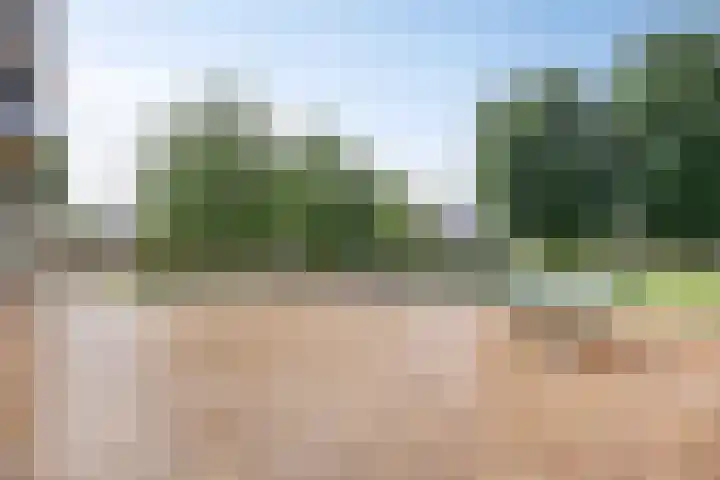 Loplein 65 Arnhem thumbnail 26