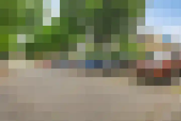 Loplein 65 Arnhem thumbnail 27