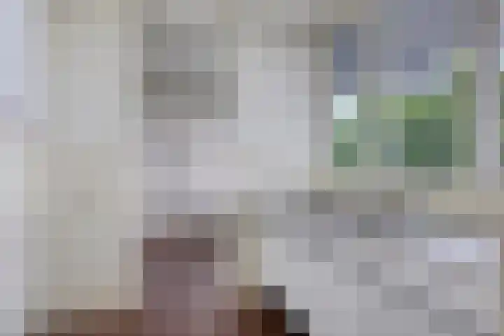 Loplein 65 Arnhem foto 3