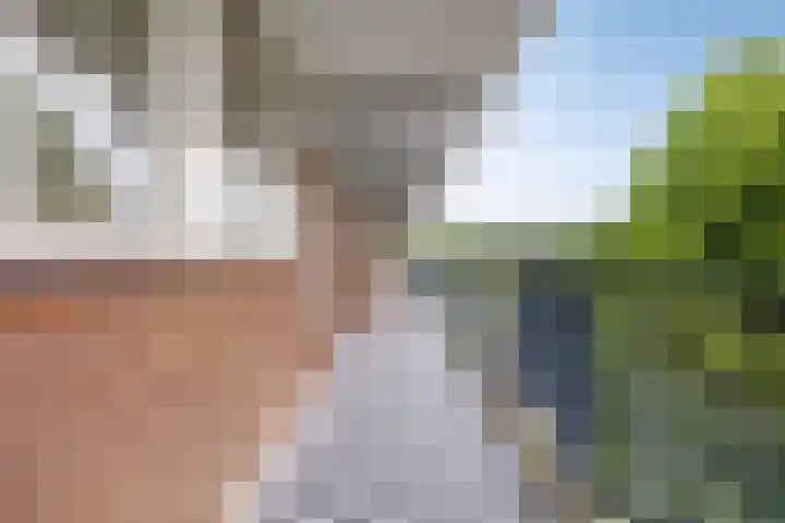 Loplein 65 Arnhem thumbnail 6