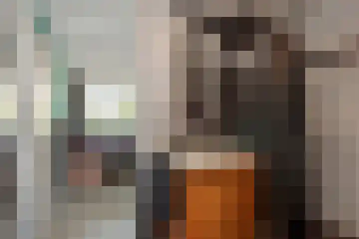 Loplein 69 Arnhem thumbnail 14