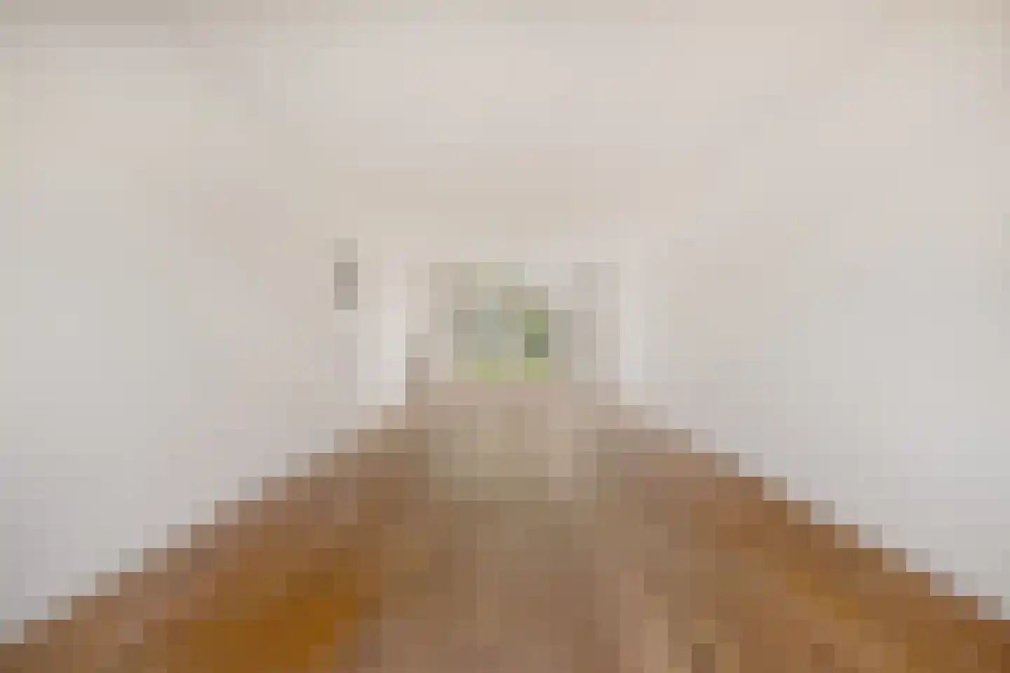 Lorentzkade 22 Haarlem thumbnail 5