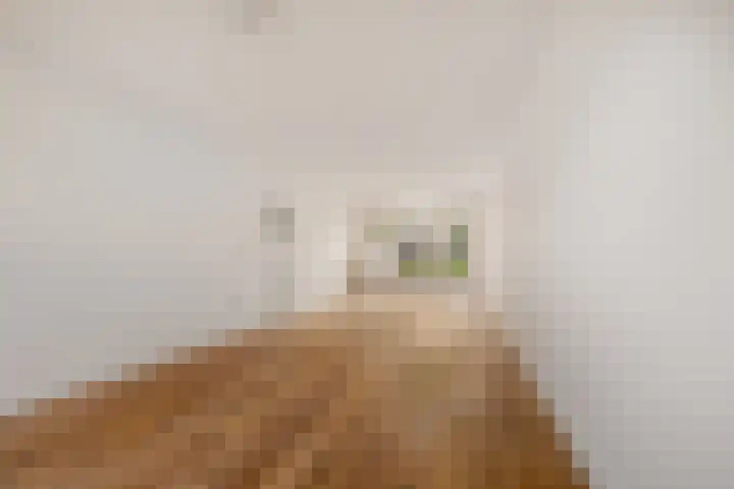 Lorentzkade 22 Haarlem thumbnail 6