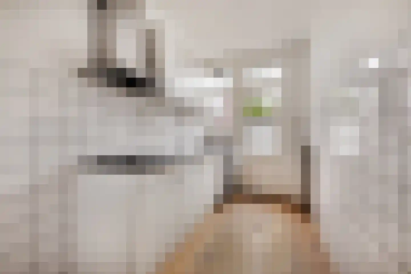 Lorentzkade 22 Haarlem thumbnail 8