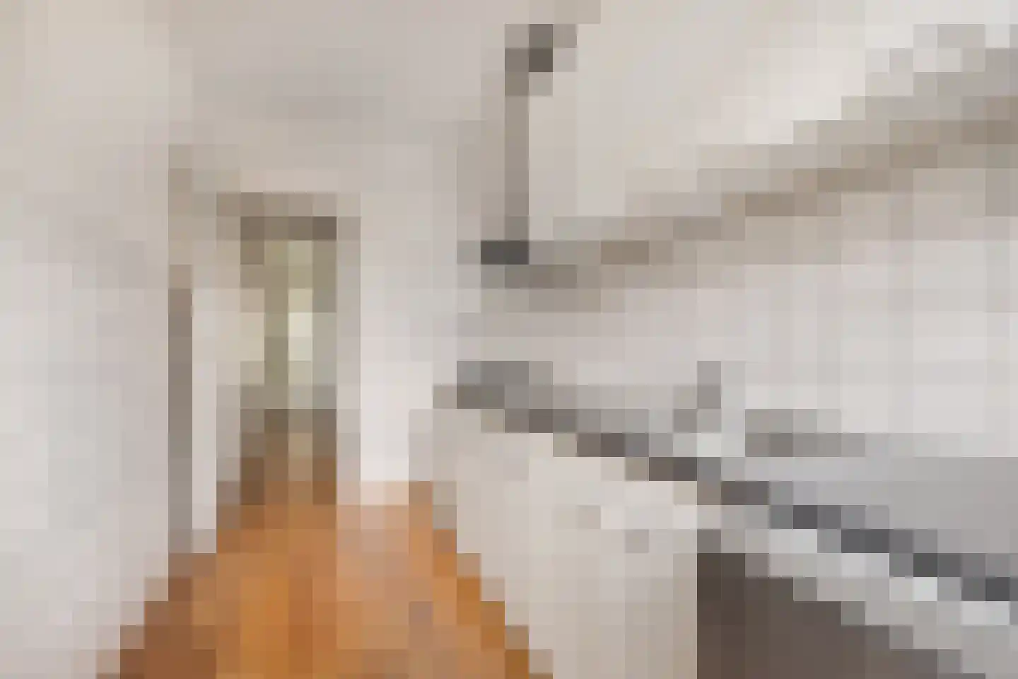Lorentzkade 22 Haarlem thumbnail 9