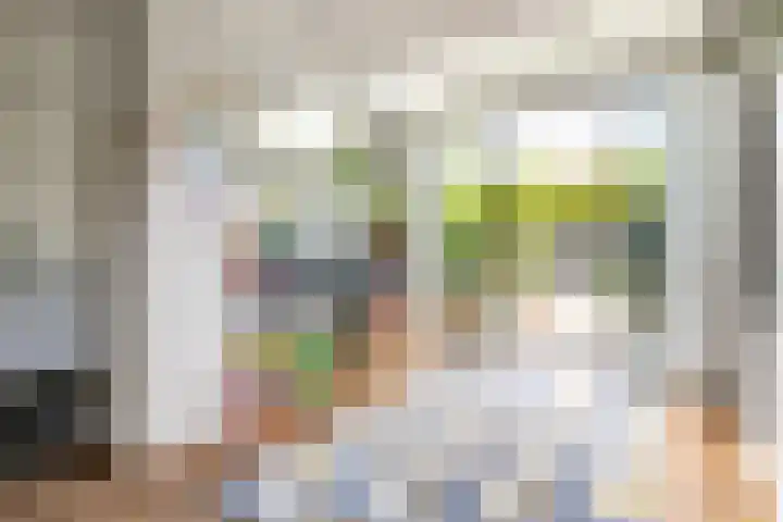 Lorentzkade 316 Haarlem thumbnail 10