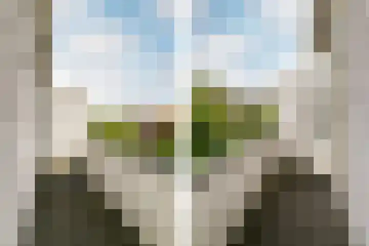 Lorentzkade 316 Haarlem thumbnail 18