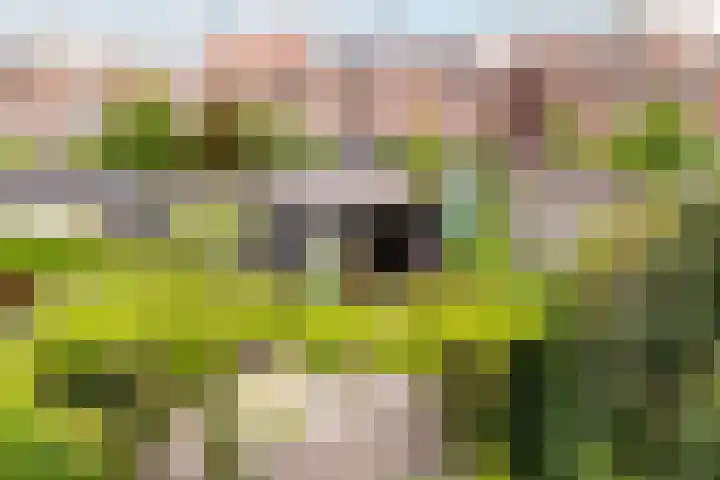Lorentzkade 316 Haarlem thumbnail 19