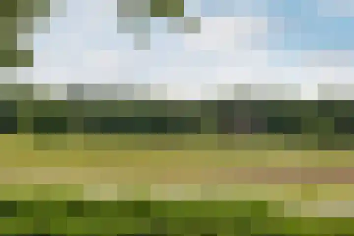 Lorentzkade 316 Haarlem thumbnail 25