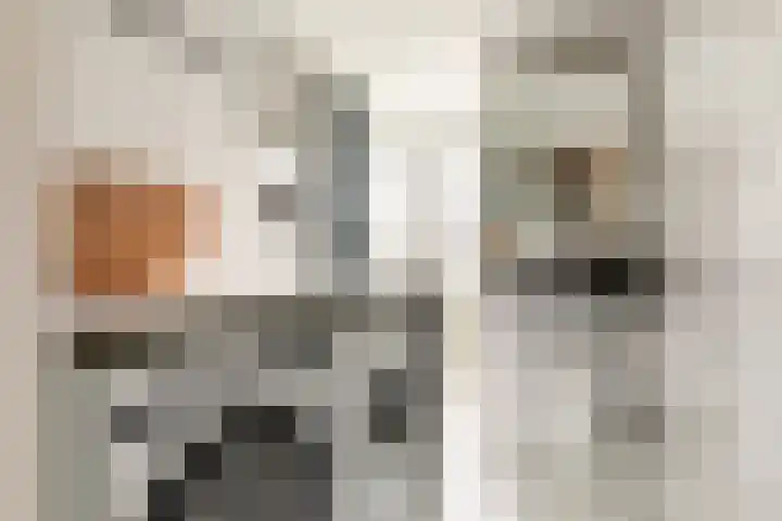 Lorentzkade 316 Haarlem thumbnail 29