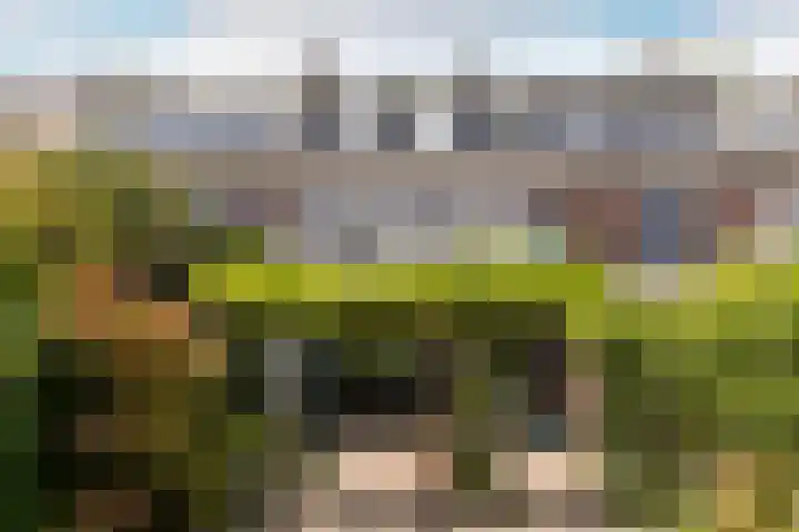 Lorentzkade 316 Haarlem thumbnail 33