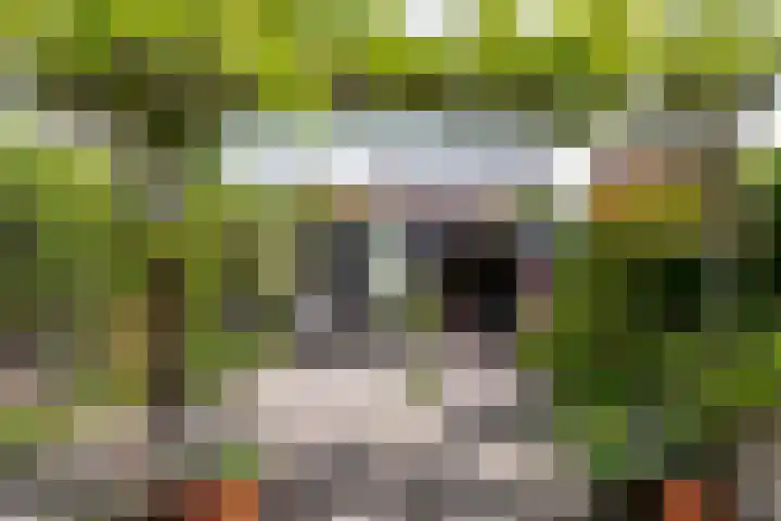 Lorentzkade 316 Haarlem thumbnail 35