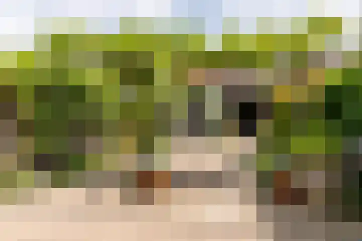 Lorentzkade 316 Haarlem thumbnail 38