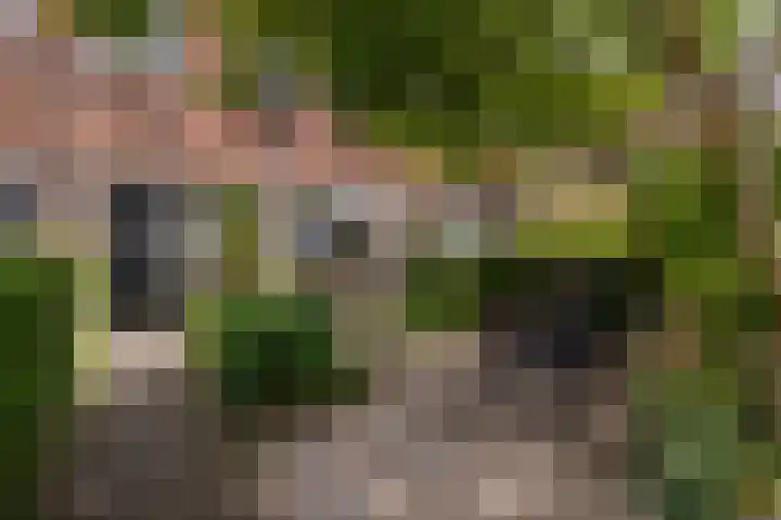 Lorentzkade 316 Haarlem thumbnail 39